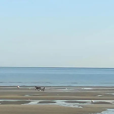 Avec Acces A La Apartament *