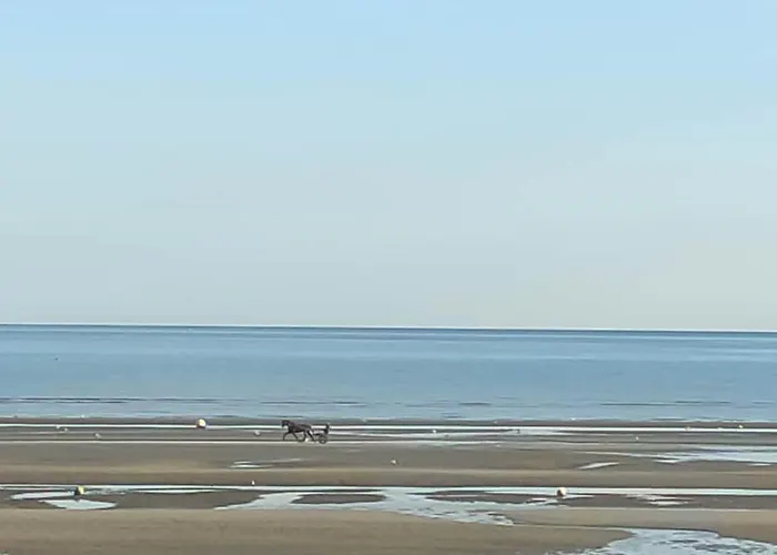 Avec Acces A La Lejlighed *